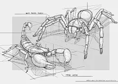 Fzd fundamentals 1208
