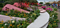 Chelsea Flower Show 2017 | Михаил Щеглов - садовая фотография : Фотосъемка частных и общественных садов и парков, профессиональная фотосессия от садового фотографа.