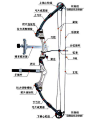 复合弓_百度图片搜索