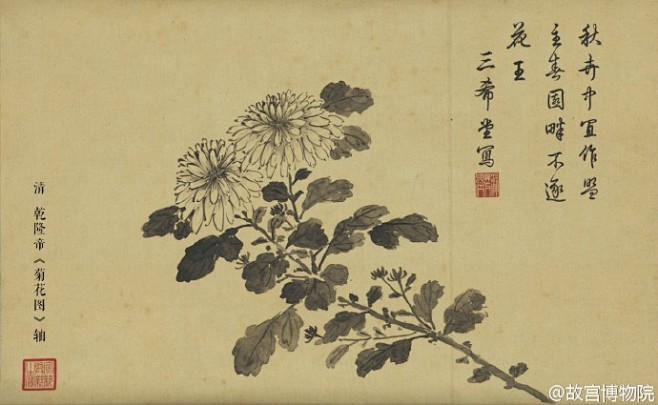 菊花题材的书画藏品