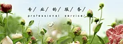 大药房,药店DM,药店传单,药店促销,药店海报,药店宣传单,药品海报,药店促销广告,药店活动,药店单页,药店彩页,药店dm,药店展架,药店开业打折,海报banner图库,png图北坤人素材@北坤人素材