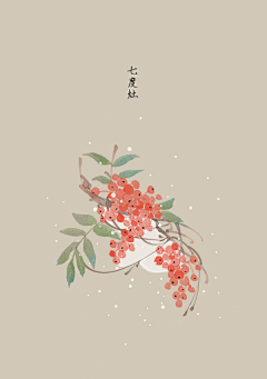 弞非采集到花卉插画