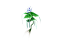 免扣素材