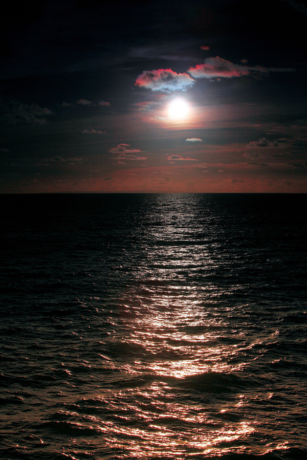 [给点阳光也可不灿烂 (溜达图片)] 只有大海可以给点阳光不"灿烂"