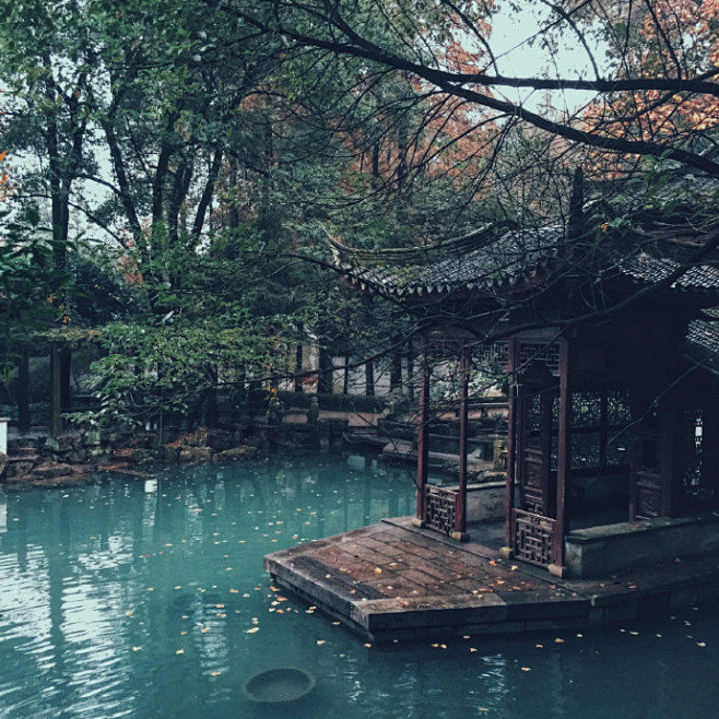 淅沥秋心雨，风清韵自幽。黄叶随风落，鱼在...