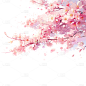 植物通用粉色樱花插画花枝飘花瓣元素素材