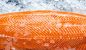 Advertising  fish ice Ocean salmon Sushi