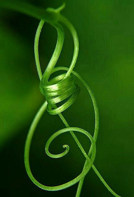 #green  #verde: 