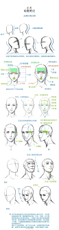 小K绘画笔记，关于线稿人体上色，头部比例分析！