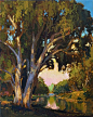 Jan Schmuckal - Tonalist Painter #landscape #tree #art: 