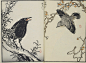 梅岭百鸟画谱.梅岭画谱.梅岭画鉴.幸野梅岭画.明治时期