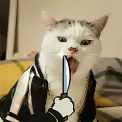 超级可的猫咪表情包下载_动漫新闻_动漫论坛_动漫美图_幻之羁绊动漫网