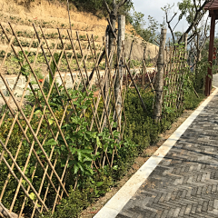 牙齿不好吧大叔采集到美丽乡村