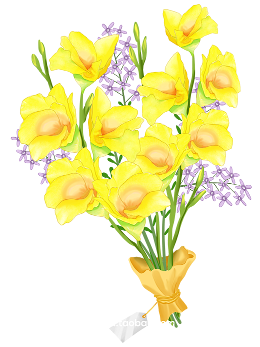 免抠春季手捧花鲜花玫瑰_PNG：