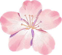 吃货·大芒果采集到【素材】-PNG-植物/花草