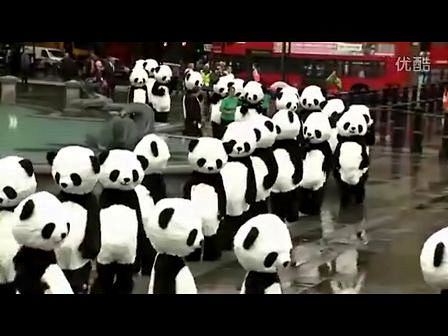"大熊猫"空降伦敦打太极，萌翻！！！ -...