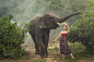 Beautiful model in traditional suit with elephant in the forest by thananit suntiviriyanon on 500px