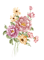 花儿2