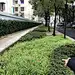 道路人行道