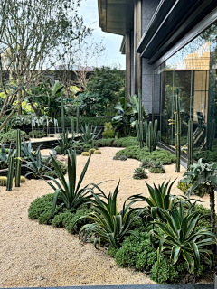 思梦simeng采集到花境景观