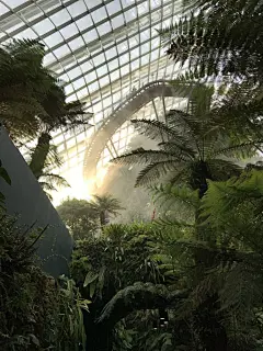 森林高清摄影素材