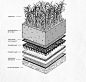 Green Roof System