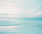 (12) Tumblr