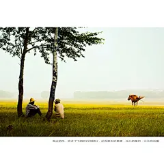 沽源坝上——陪你去远方_河北_黄河上下_光影天下_数码生存-小林的摄影设计手绘文字