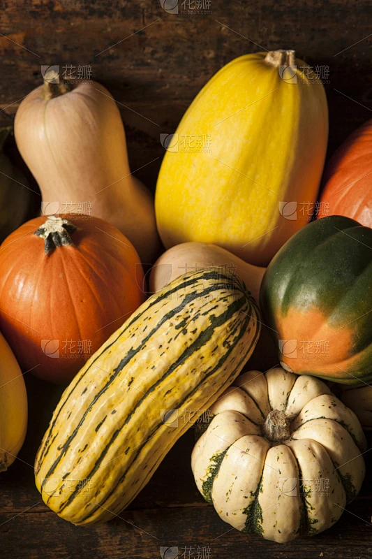 南瓜属,秋天,有机食品,多样,垂直画幅,acorn squash,葫芦,素食,无人,南瓜素材-花瓣网