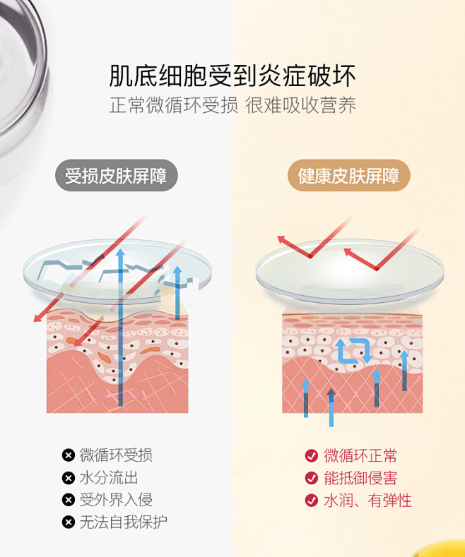 碧维斯Biocyte养肤冷霜丸修复敏感肌...