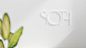 SOTA : State of the Art Enterprises is a premier, full-serviceevent planning company based in New York, specializing inweddings, bar/ bat mitzvahs, corporate and special events. 