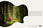 Taylor Guitars Campaign : Campaign for Taylor Guitars 