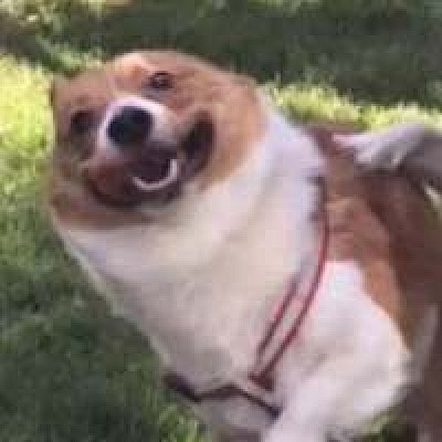 半幵朗