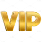 3D-立体简约VIP英文文字5