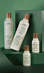rosemary mint invigorating hair and body care