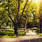 人,自然,路,户外,公园_143922383_Day in Central Park - NYC_创意图片_Getty Images China