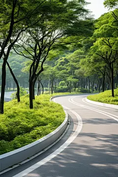 花园公园散步运动道路图片摄影图