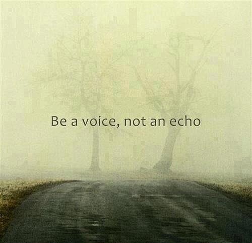 Be a  voice, not an ...