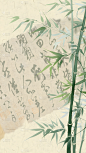 植物通用中国风竹子背景场景图片素材
