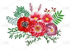 花束和叶子，花卉水彩画在孤立的背景。