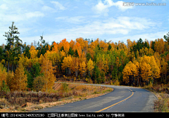 yanYUXI采集到汽车