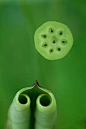 韵味