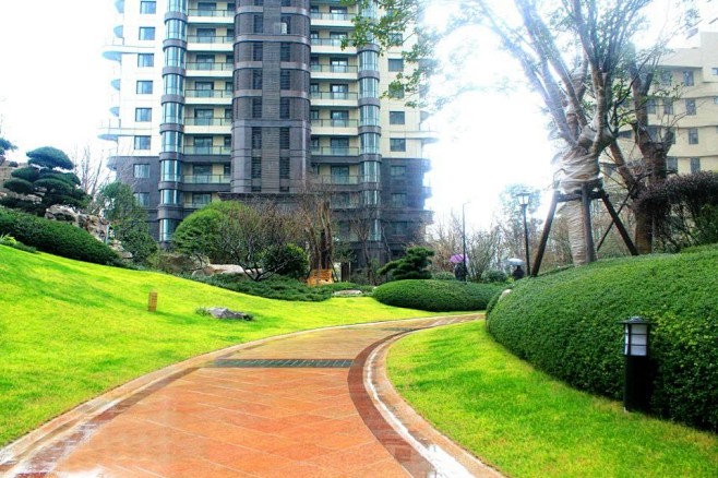 园路植物景观