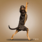 26 Amazingly Funny Dog Yoga Pictures