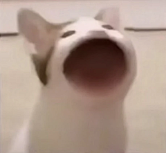 铁树无花开采集到猫meme表情包