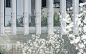 NTU Cosmology Hall,Facade detail. Image © Shawn Liu Studio