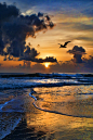 lifeisverybeautiful:

via 500px / Caribbean Sunrise by Mark Lissick
