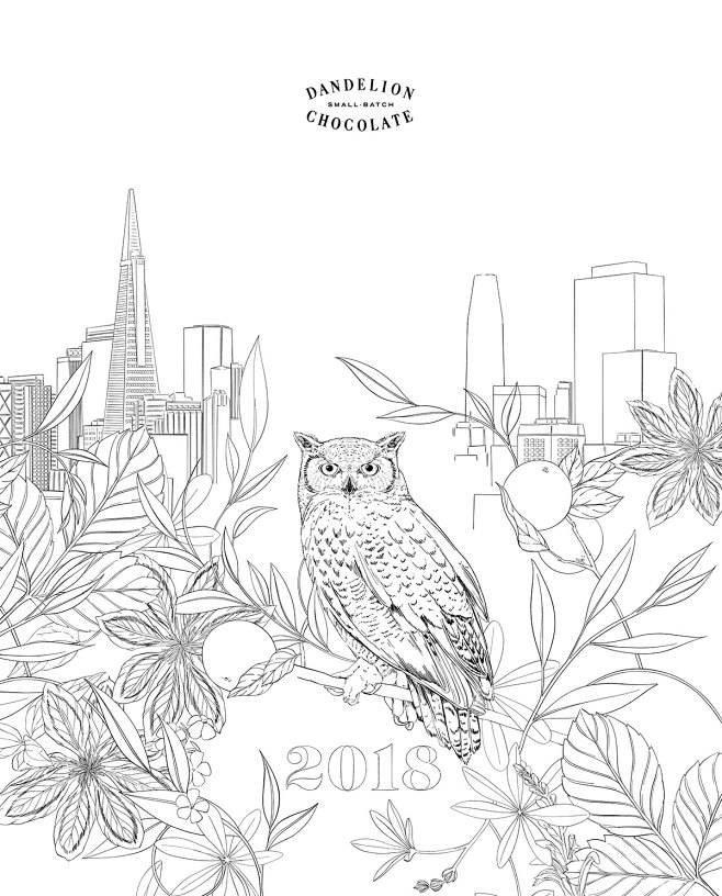 Dandelion Chocolate x Littlepatterns Advent Calendar : Unique hand  illustrated packaging design created for California based company, Dandelion  Chocolate. Special edition packaging to support their annual Advent Calendar  project. All Flora and
