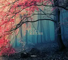 壁纸-资源分享-vivo智能手机V粉社区