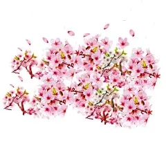 花卉   - 源文件下载【酷图网】花卉,花朵,樱花,花瓣,粉色花,桃花免扣,小清新,樱花免扣,春天,桃花,梨花,樱花背景,樱花盛开,花草,浪漫,情人节,芳香,盛开,花朵卡通图片,手绘樱花,花朵背景,樱花素材,唯美素材,唯美樱花,粉色,唯美,古典花纹,手绘梅花,腊梅,红梅,梅花图片